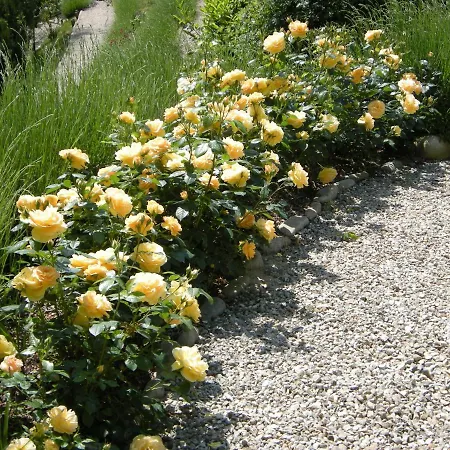 Frühstückspension Casa Fonda- Piemonte Mango