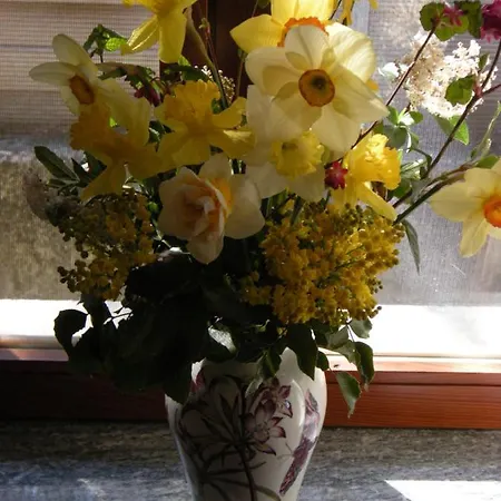 Casa Fonda- Piemonte * Mango