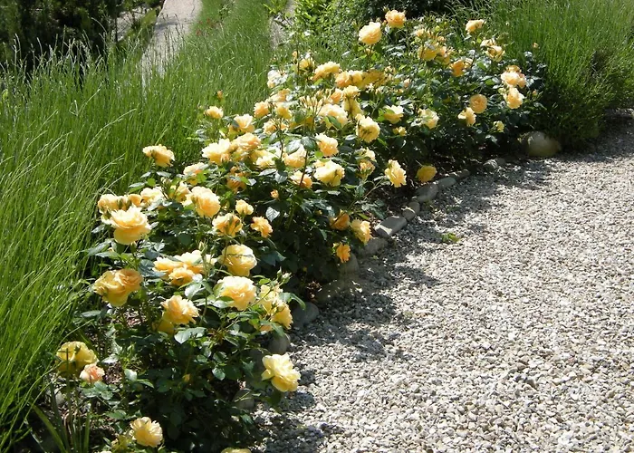 Nocleg ze śniadaniem Casa Fonda- Piemonte Mango